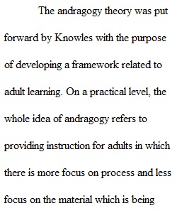 Adult Learners Essay